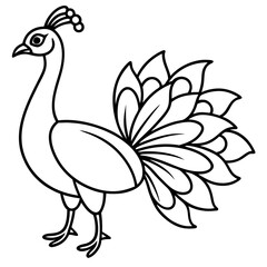 Fototapeta premium peacock vector illustration line art transparent background