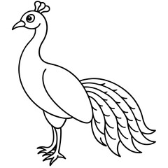 Fototapeta premium peacock vector illustration line art transparent background