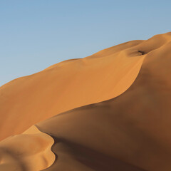 sand dunes in the desert