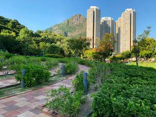view of high rise apartment buildings and mountain covered with warm sunlight from a park which the sun hasn't reached