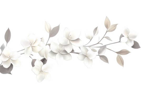 Elegant white flower branch isolated on transparent background - Powered by Adobe