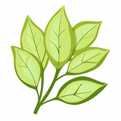 Fototapeta premium Simple Line Drawing of Green Leaves in Vector Illustration Style