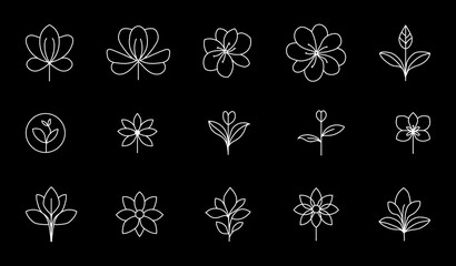 Flower Line Art Botanical Design Flower and Plant Logo Element for Wedding Invitation Card Wall Art Vector Floral Set © SecretCanvas