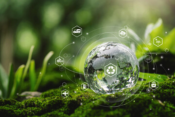 Green logistics management process related to the environmentally friendly transportation of...