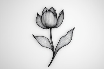 Minimalist tulip tattoo design with gray shading