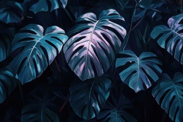 Fototapeta premium Vibrant monstera leaves display intricate patterns and textures in a dimly lit tropical environment, creating a striking visual effect