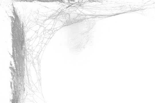 Realistic Halloween spider web with scary thread effect isolated on transparent background