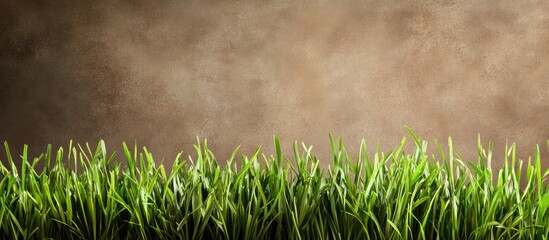 Lush green grass contrasting against a textured brown background ideal for nature themes and seasonal decorations