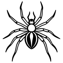 Obraz premium spider vector illustration isolated line art transparent background