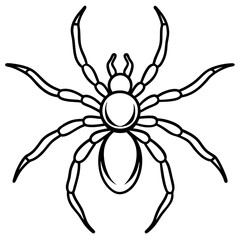 Obraz premium spider vector illustration isolated line art transparent background