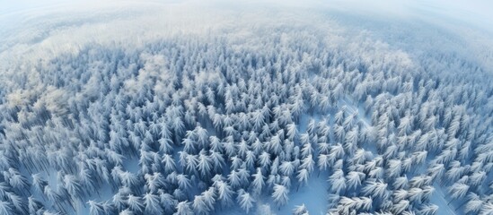 Obraz premium Aerial view of a serene winter landscape showcasing snow-covered trees and a tranquil, misty atmosphere