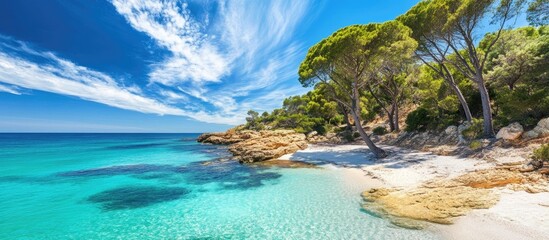 Scenic bay view with turquoise water, sandy beach, lush pine trees, and a vibrant blue sky creating a tranquil coastal atmosphere