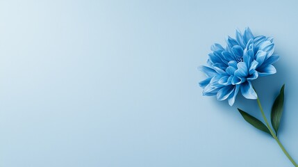  a blue flower with its stem and leaves on a light blue background The flower is vibrant and stands out against the plain background, making it the focal point of t