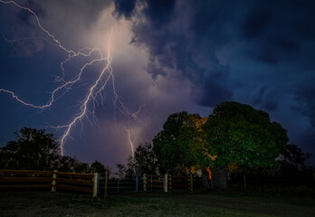 Lightning strike over tree