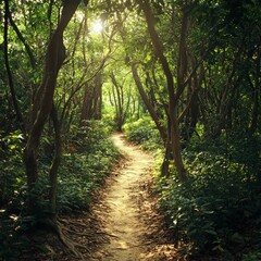 Fototapeta premium Sunlit path through lush green forest.