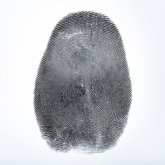 Finger print texture on white background. Uniquely intricate fingerprint pattern. Forensic analysis