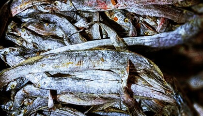 Salt Fish pile of dried mackerel fish lying lengthwise 1