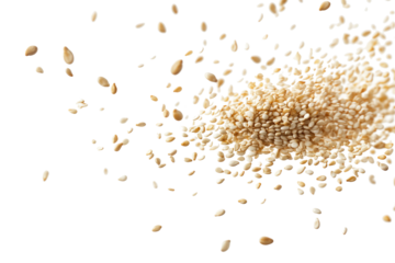 sesame seeds flying on transparent background