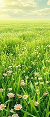 Fototapeta premium a lush carpet of emerald green grass underfoot with wildflowers blooming around, natural scenery, fresh spring grass, landscape photography