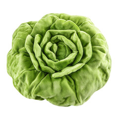 Fototapeta premium Extreme front view of a perfectly made hyper realistic butter lettuce vegetable soft toy isolated on a white transparent background