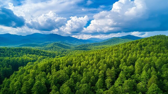 Aerial View of Lush Dense Forest Under Blue Sky with Fluffy Clouds, Showcasing Vibrant Green Foliage and Rolling Hills in a Serene Natural Landscape