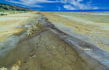 Clay that has dried out in a puddle has cracked and curled, the shore of the Kuyalnik estuary,...