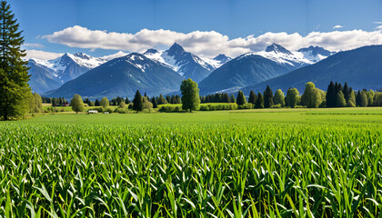 Paysage alpin serein avec champs verdoyants