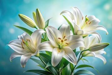 Fototapeta premium Delicate White Lilies with Green Leaves on Light Blue Background for Floral Decor and Design