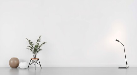 Minimalist interior with white wall, wooden floor, plant, pots, and floor lamp.