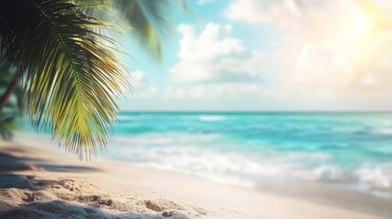 A palm tree is on the beach with the ocean in the background
