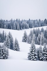 Obraz premium Snowy winter forest landscape