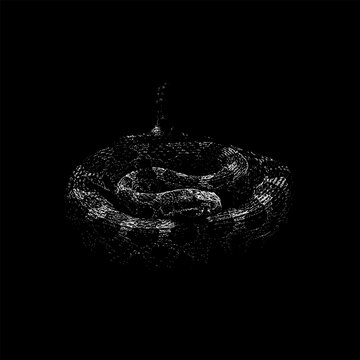 Massasauga hand drawing vector isolated on black background.