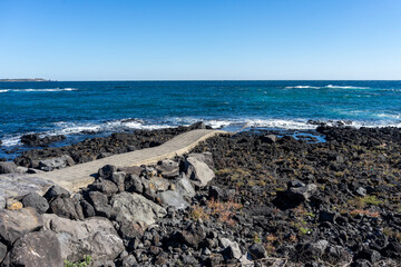 A walking path leading to the sea