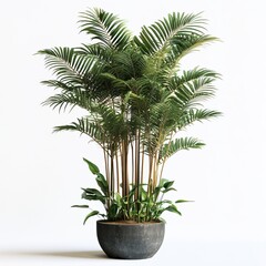 Obraz premium Indoor plant arrangements by the window create a cozy and modern natural atmosphere. AI generated image