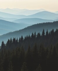 Obraz premium Misty Mountain Range and Pine Forest