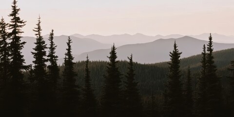 Obraz premium Misty Mountain Range and Pine Trees