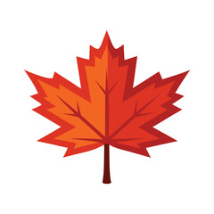 Fototapeta premium Maple Leaf Vector Illustration On White Background
