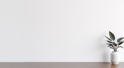 Minimalist interior design with white wall, wooden floor, and a plant in a white vase.