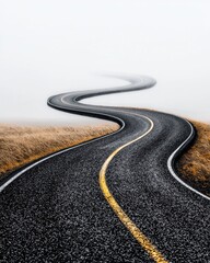 A winding road disappears into a foggy distance, surrounded by grass, creating a serene and mysterious atmosphere.