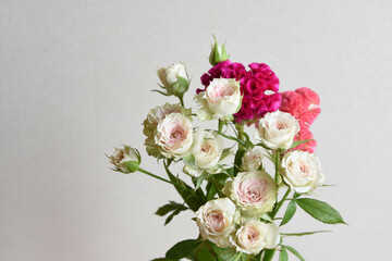 薔薇とケイトウ