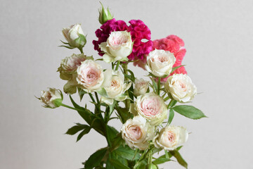 薔薇とケイトウ