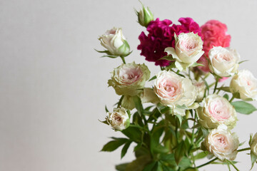 薔薇とケイトウ