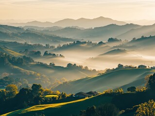 Fototapeta premium Misty Sunrise Over Rolling Hills