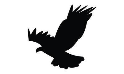 Flying Eagle Silhouette Design  And Vector Illustration. 