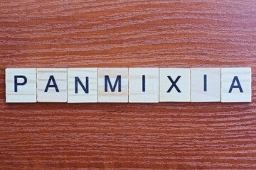  the gray word panmixia of gray small wooden letters lie on a brown table