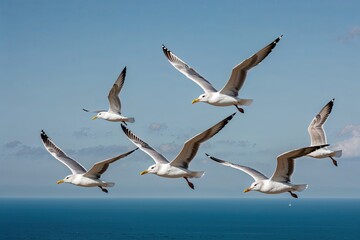 Obraz premium Squad of Soaring Gulls Gliding Over Azure Horizon in Nature