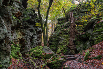 Landscape close to Treves, Eifel, Germany