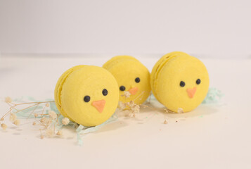 Chick Macaron for easter on yellow  and white background
