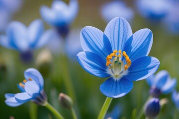 Stunning Closeup of a Vibrant Blue Flower Blooming in Springtime