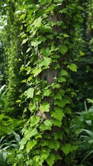 Obraz premium Close-up of a thick stem with lush green leaves and vines in a dense garden setting , stem, garden, nature